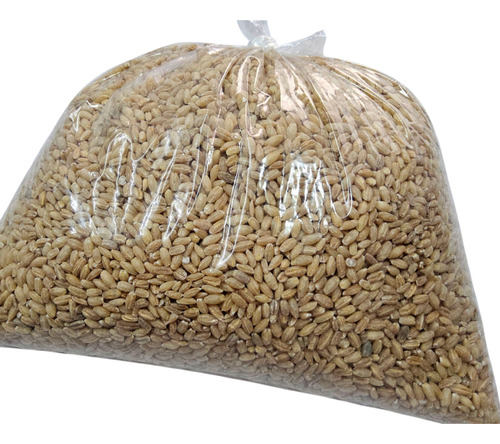 5kg Cebada Perla O Perlada Artesanal Hecha En Yucatán