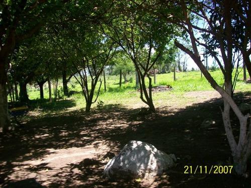 Chácara Com 4 Dormitórios À Venda, 49000 M² Por R$ 2.700.000,00 - Fazenda Monte D Este - Campinas/sp - Ch0487