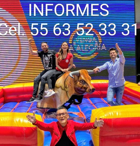 Imagen 4 de 4 de Renta Toro Mecánico