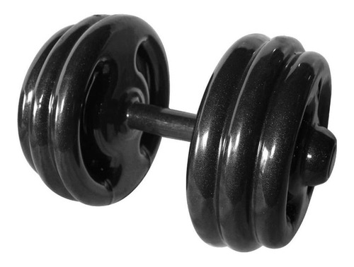 Dumbbell Emborrachado Treinamento Funcional Academia 30kg