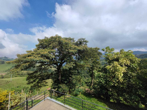Imagen 20 de 30 de Venta Casa Cerro De Oro, Manizales, Codigo 5756024
