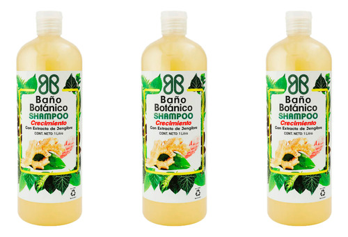 Shampoo Botanico Extracto Jengibre (crecimiento) 1 Lt Pack 3