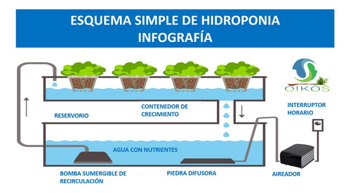 Imagen 6 de 10 de Bomba De Aire Para Acuario Fluval Q2 + Delivery