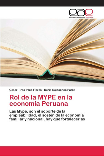 Libro: Rol De La Mype En La Economía Peruana: Las Mype, Son