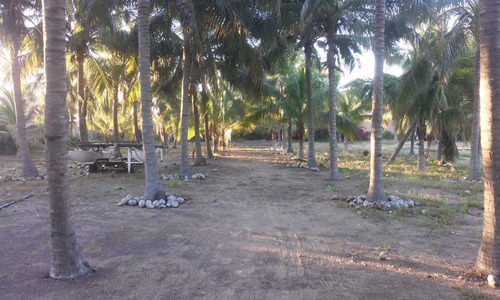 Imagen 7 de 14 de Terreno En Venta Las Brisas