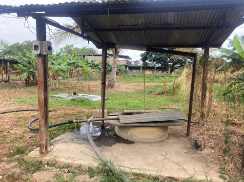 Finca En El Asentamiento Campesino Las Mariposa Plf-003
