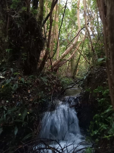Terreno 3 Hectareas En Sector Aucaco Ancud