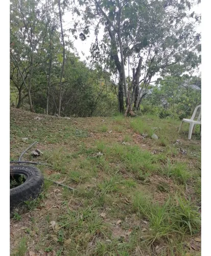 Venta Lote Campestre De 2.000 Mts2, Vereda Los Andes, Cali. 12955-1.
