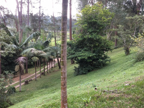Imagem 9 de 30 de Sítio Á Venda Em Juquitiba-sp Ideal Para Renda! - 159 - 33954608