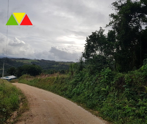 Imagem 7 de 22 de Chácara Serrinha - Ch00085 - 34982956