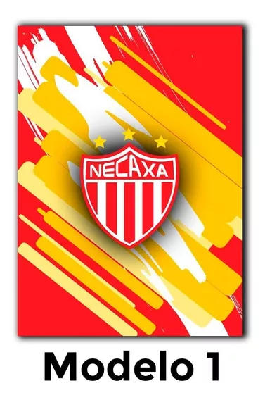 Cuadros Decorativos Futbol Liga Mx - Club Necaxa