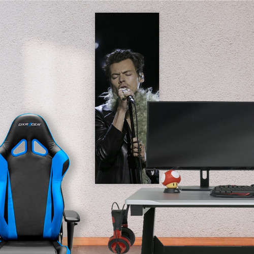 Cuadro Grande 30x80 Cm Musica Harry Styles Cantando Animeras