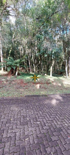 Imagem 2 de 16 de Terreno A Venda - 1084