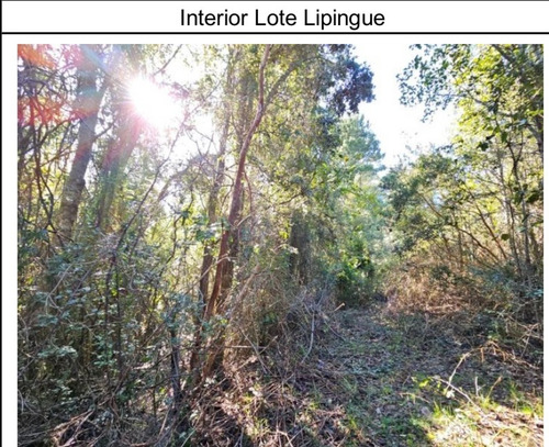 Parcela De 15 Has, A 1 Km Ruta 5 , Lipingue, Los Lagos