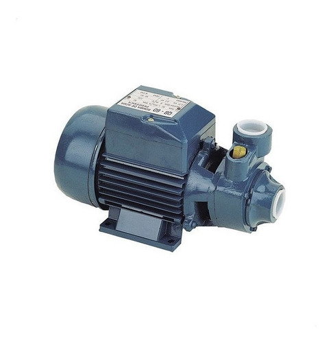 Imagen 1 de 6 de Bomba Periferica 1/2hp Elevadora De Agua Pluvius Qb 60