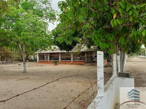 Imagem 15 de 25 de Granja A Venda Em Macaíba