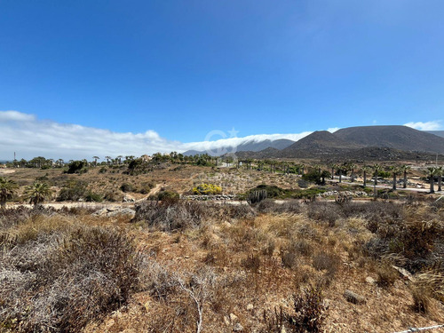 Terreno En Las Tacas Para Desarrollo 6.000m2