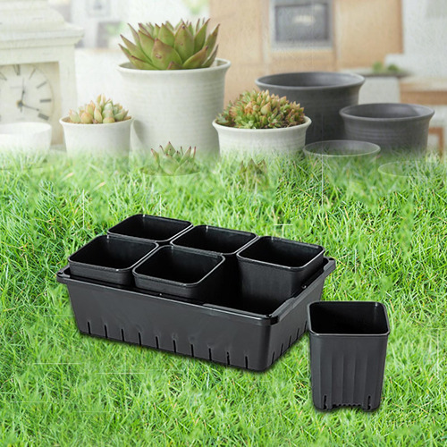 Maceta Para Trasplante De Plántulas, Caja De 6 Rejillas
