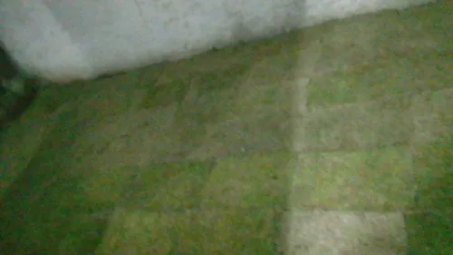 2 Quartos 1 Sala 1 Cozinha 1banheiro Quintal Garagem