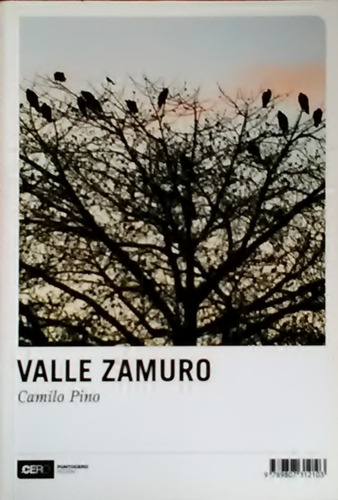 Valle Zamuro Camilo Pino 