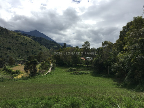 Se Vende Bella Finca De 10 Hectáreas Con Casa Colonial En Cacute Sector Santa Elena, Mérida.
