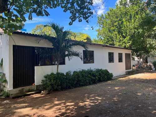 Casa En Renta Con Extenso Terreno Ideal Para Negocio Con Amplia Palapa