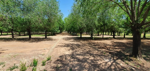 Imagen 7 de 27 de Venta Lotes Los Fresnos Barrio Cerrado Privado, Virrey Del Pino, La Matanza