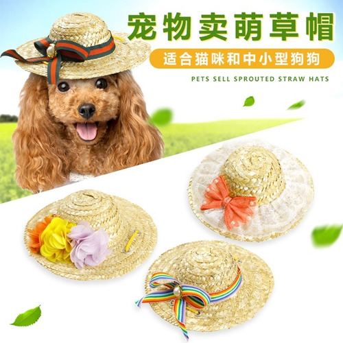 Sombrero Gorro Guajiro Talla S Para Mascota Perro Gato