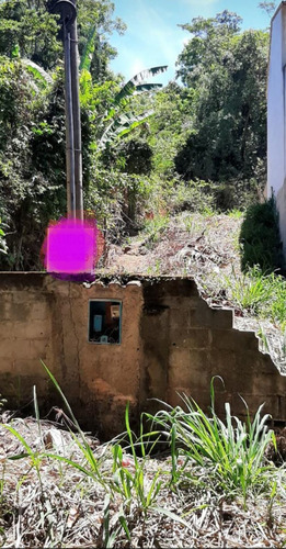Imagem 3 de 7 de Terreno - Te00128 - 69919956