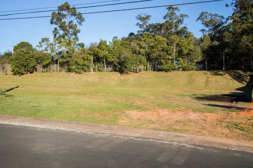 Terreno Em Belém Novo - Lu429223