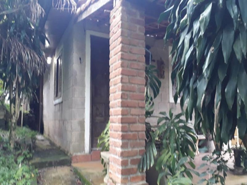 Imagem 8 de 14 de Excelente Chácara Com Piscina Cod: 4366