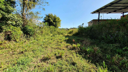 Imagem 3 de 9 de Terreno-para-venda-em-vila-das-palmeiras-morretes-pr - 105