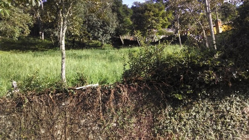 Imagem 5 de 7 de Lote A Venda Em Santo Antonio Do Pinhal - St-413-