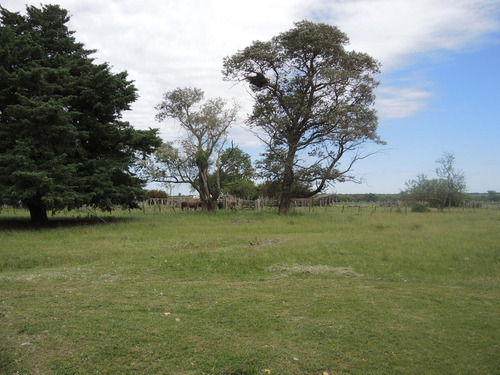 Campo En Venta, Villaguay, Entre Ríos