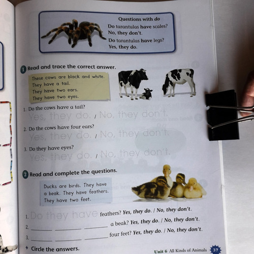 Gramática Inglesa Básica Skyrocket Nivel 1