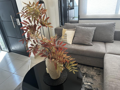 Casas En Venta En Los Olvera Frente A Shoenstatt
