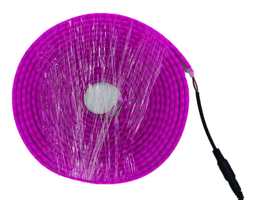 5m Mangueira Fita Led 12v Neon Corte2,5cm Alto Brilho+ Fonte Cor da luz Roxo 110V/220V