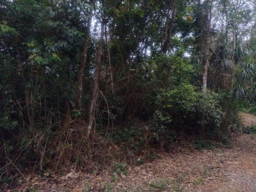 Terreno Condomínio Fechado Onde Você Pode Sentir O Ar Puro E Ter Toda A Tranquilidade De Morar Em Um Ambiente Recluso, Você Consegue Chegar Ao Centro Da Cidade E Se Mantém Perto De Tudo Que Precisa.
