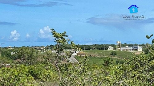Imagem 10 de 12 de Terreno 3.000m² Em Tabatinga (excelente Para Condomínios E Hotéis) - Te0784