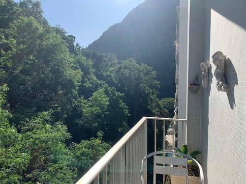 Imagem 3 de 11 de Excelente Apartamento No Cartão Postal Da Cidade, Linda Vista, Cercado De Natureza, Perto Do Metrô