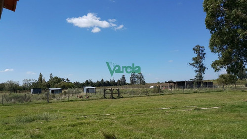 Imagen 10 de 26 de Chacra De 3 Has Próximo A San Jacinto - Atlantida Atlántida