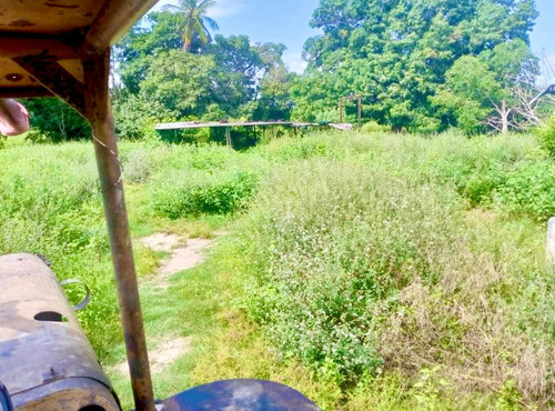 Inmobiliaria Mundo Inn Vende En Cojedes, Hermosa Finca Productiva