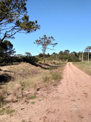 Imagen 4 de 4 de Terreno - Punta Del Diablo