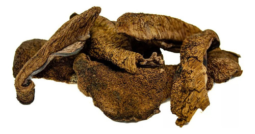 Hongos De Pino X1kg Chile