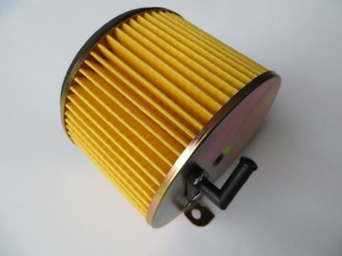 Filtro Aire Mtk Ccg125 Ultra Modern.t-honda Para Moto 