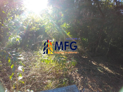 Imagem 5 de 15 de Chacara Em Capela Do Alto,venda - 7732