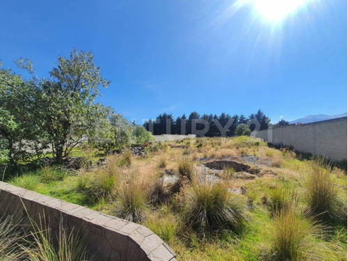 Imagen 12 de 12 de Terreno Venta En Cacalomacan