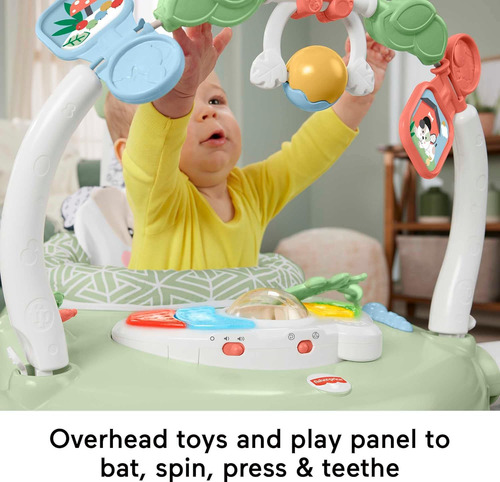 Fisher-price Baby Bouncer Spacesaver Jumperoo Activity Ce...