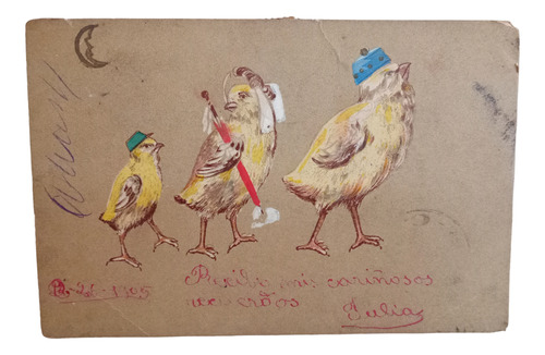 Tarjeta Postal Antigua Familia Pollitos 1905