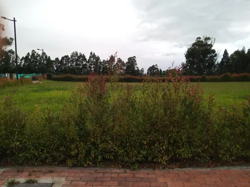 Excelente Lote En Condominio Tenjo